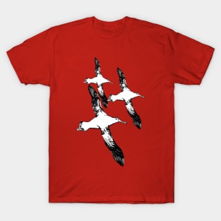 A Trio of Wandering Albatross T-Shirt